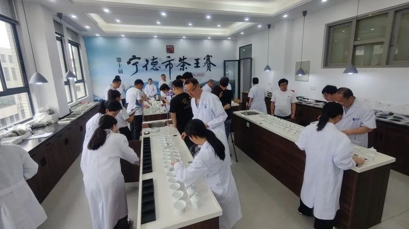 关于宁德市第十届茶王赛开赛，福鼎茶企包揽两大茶王的消息(2)