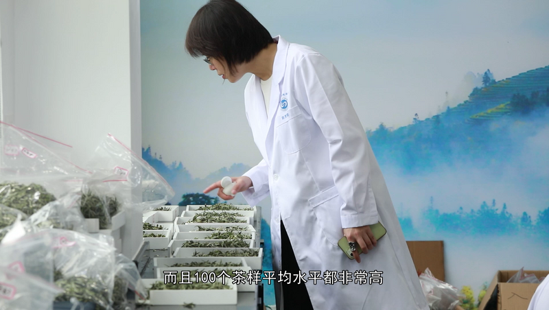 关于宁德市第十届茶王赛开赛，福鼎茶企包揽两大茶王的消息(10)