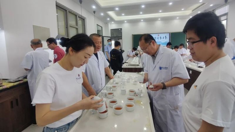 关于宁德市第十届茶王赛开赛，福鼎茶企包揽两大茶王的消息(9)
