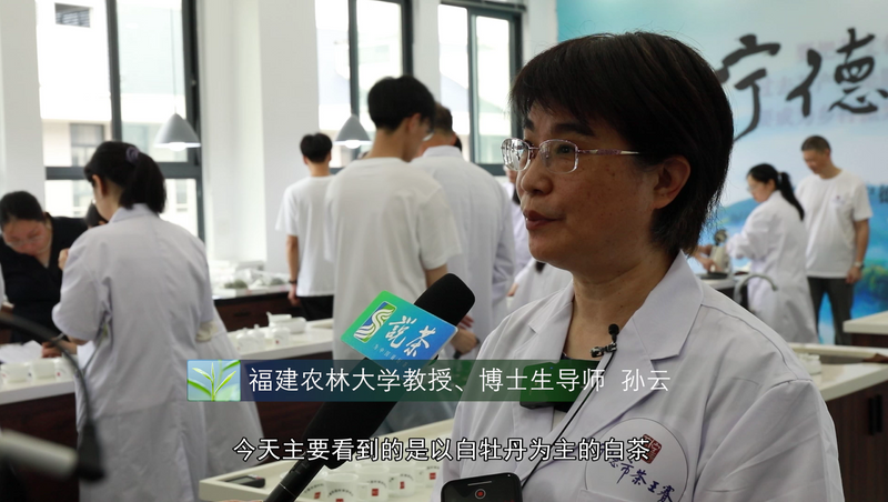 关于宁德市第十届茶王赛开赛，福鼎茶企包揽两大茶王的消息(12)