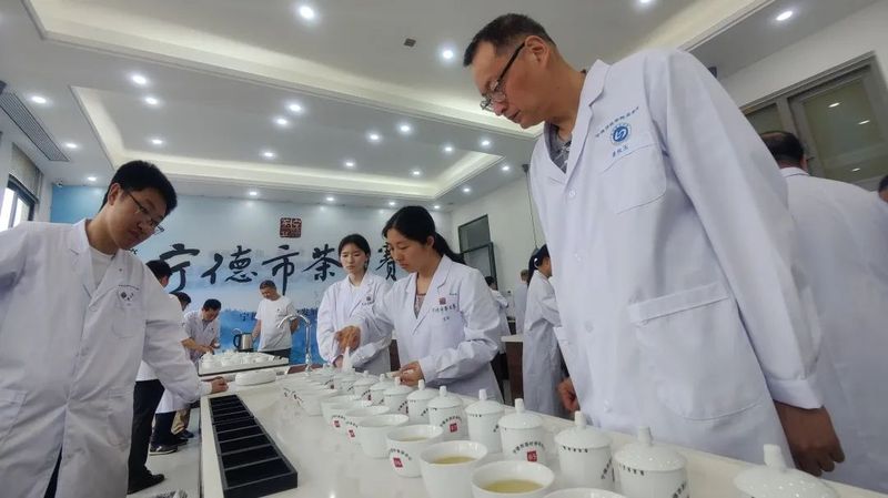 关于宁德市第十届茶王赛开赛，福鼎茶企包揽两大茶王的消息(3)
