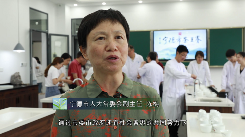 关于宁德市第十届茶王赛开赛，福鼎茶企包揽两大茶王的消息(15)