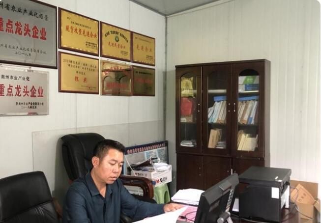 关于瓮安“乡土人才”冉涛：把一片茶叶做成一个产业的相关信息