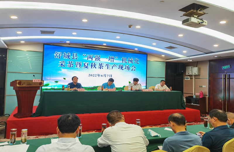 关于舒城县召开“两强一增”机械化采茶暨夏秋茶生产现场会的相关内容