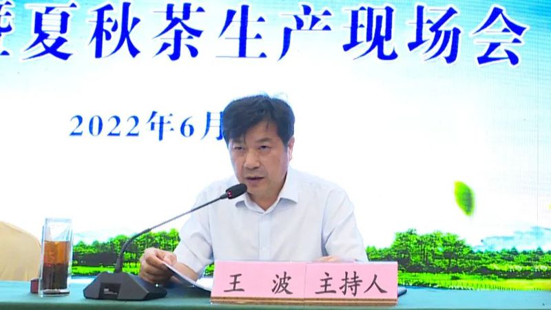 关于舒城县召开“两强一增”机械化采茶暨夏秋茶生产现场会的相关内容(3)