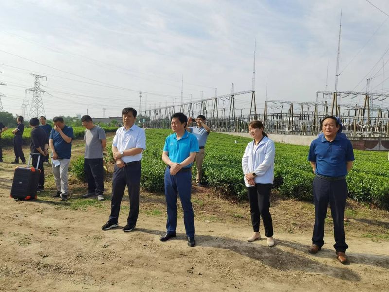 关于舒城县召开“两强一增”机械化采茶暨夏秋茶生产现场会的相关内容(2)
