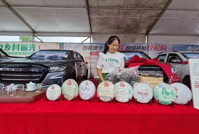 关于普洱茶企积极参加“百企助百村”助力乡村振兴志愿服务活动的新闻(17)