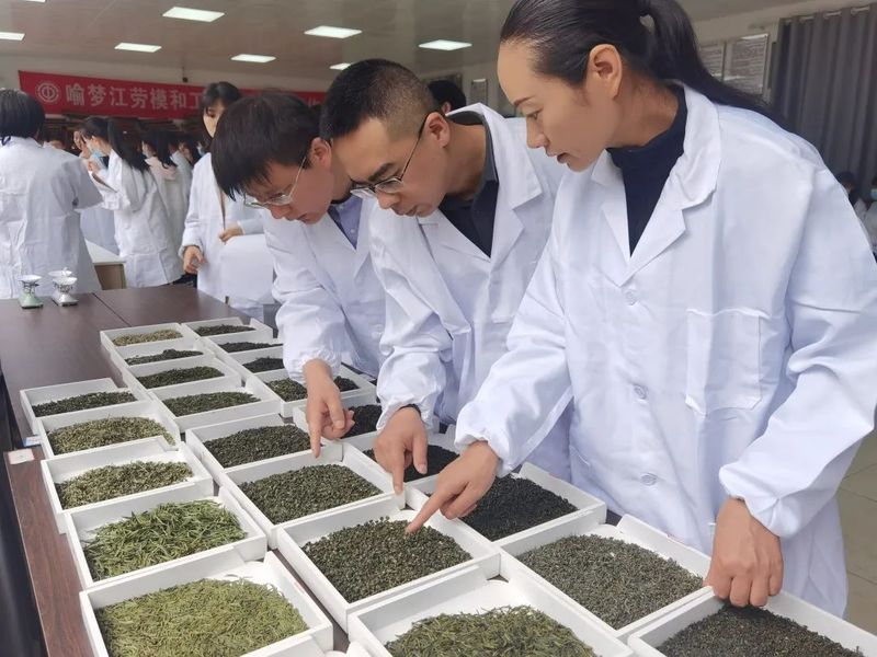 有关于权威解读：2022年贵州省春季斗茶赛专家点评的新闻(5)