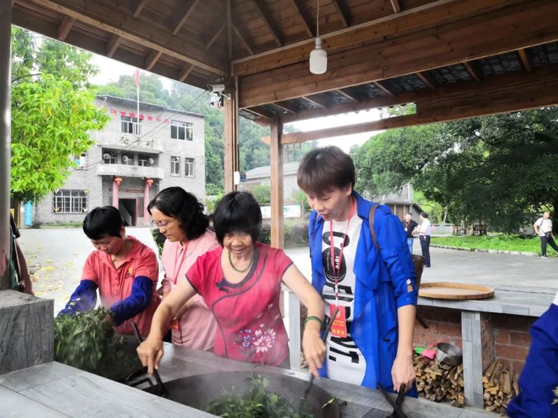 关于梧州市政协调研组到六堡镇开展“茶文化和文旅融合、六堡茶公共品牌建设”专题调研的信息(1)