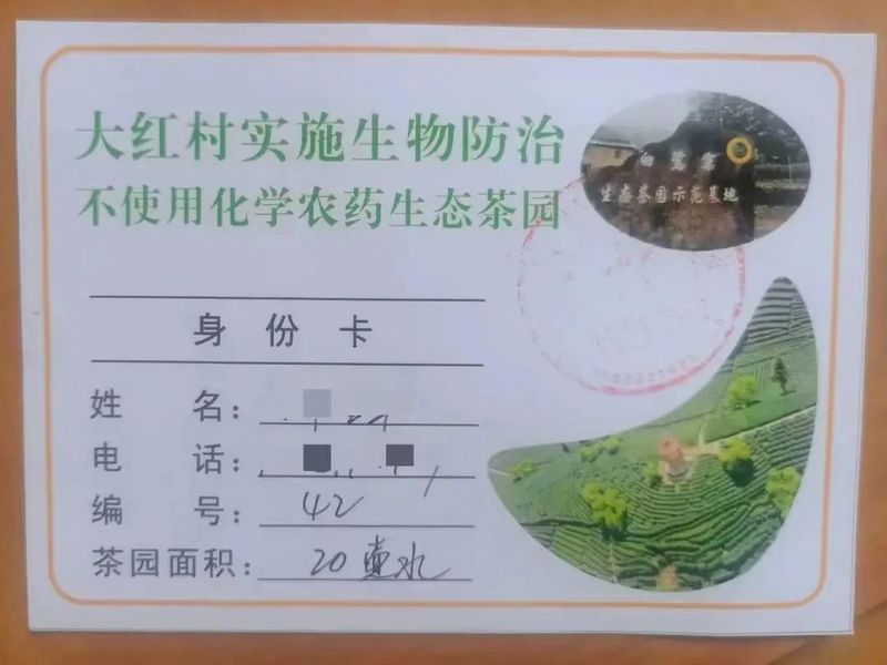 关于南平首个整村茶园不使用化学农药“示范村”的相关内容(4)