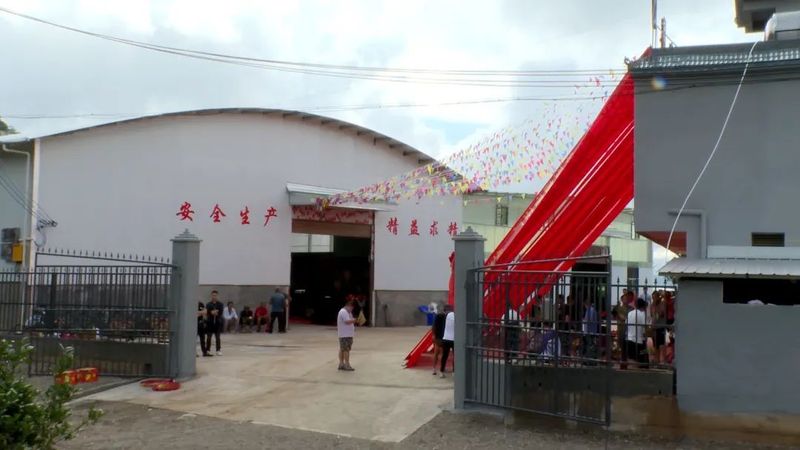有关于绿春县以“茶”惠农，盘活村集体经济的新闻(3)
