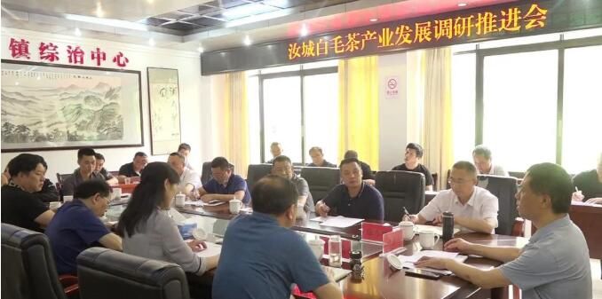 关于白毛茶产业发展协调指挥部到三江口镇调研白毛茶产业发展情况的最新消息