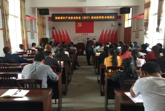 关于新河村：开展夏季茶园管理培训 促茶农增收的相关内容(1)