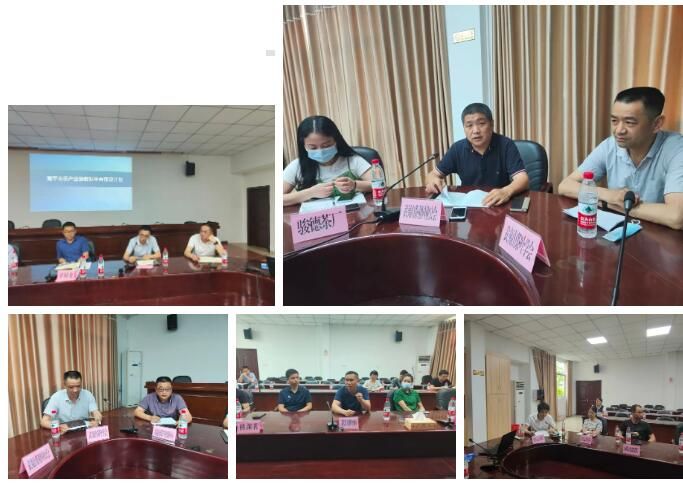 有关于南平市茶产业链数据平台征求意见座谈会召开的相关信息(6)