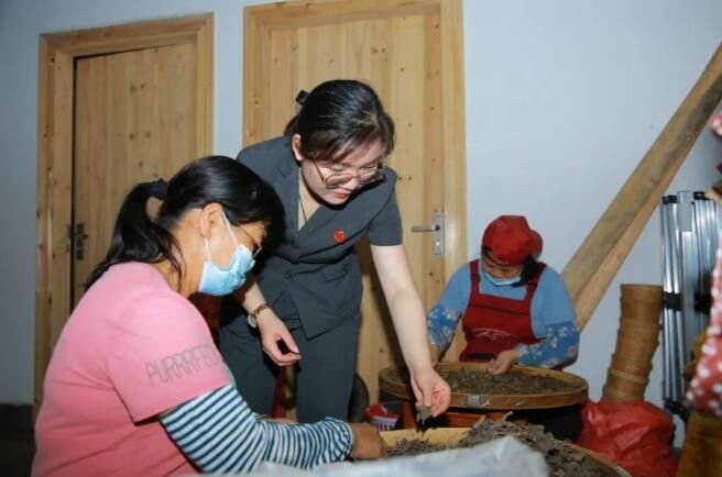 关于广西苍梧县法院“法律服务团”护航六堡茶产业发展纪事的新闻(12)