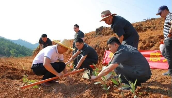 关于广西苍梧县法院“法律服务团”护航六堡茶产业发展纪事的新闻(5)
