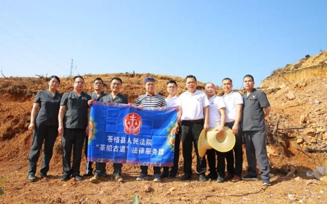 关于广西苍梧县法院“法律服务团”护航六堡茶产业发展纪事的新闻(3)