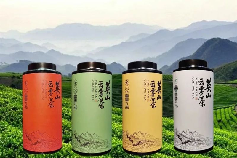 关于目标百亿!英山奋力擦亮“大别山生态名茶”金字招牌的资讯(7)