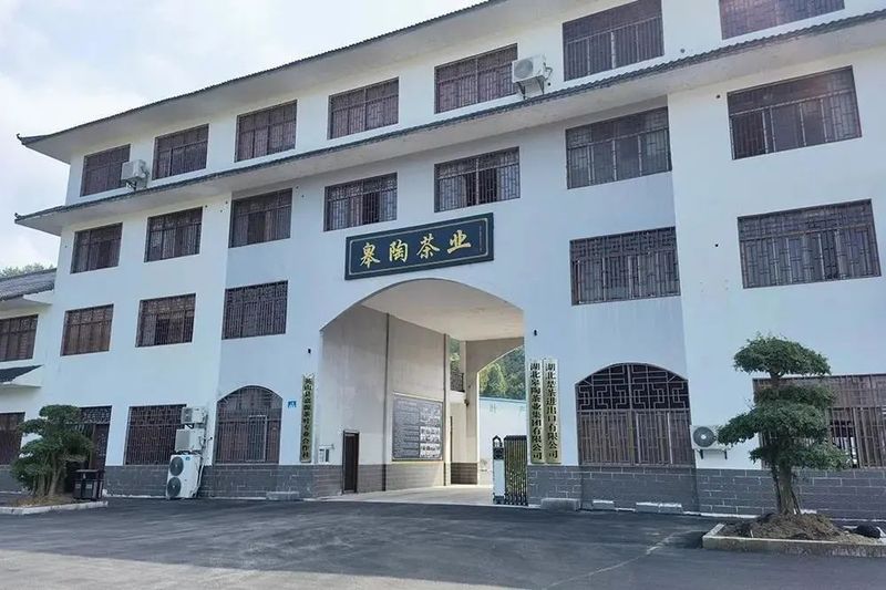 关于目标百亿!英山奋力擦亮“大别山生态名茶”金字招牌的资讯(6)