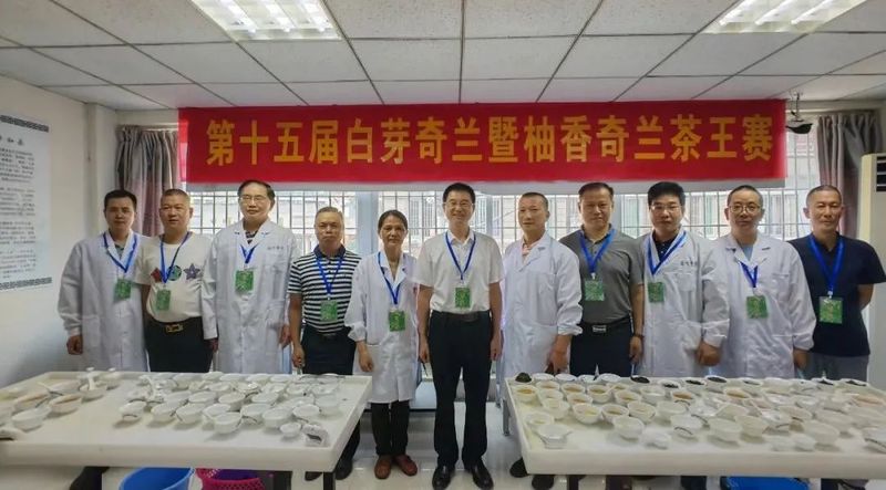 有关于促技艺提品质 我县三“茶擂”同时“开打”的新闻(2)
