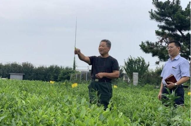 关于莒县农商银行：在一片小茶叶上做足做细金融服务乡村振兴大文章的内容(2)