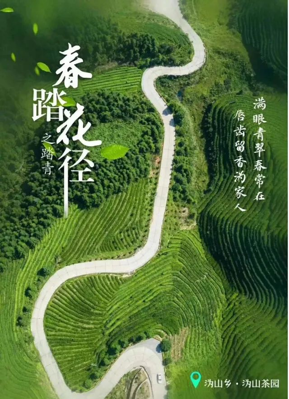 有关于“长沙绿茶”获批国家地理标志证明商标的最新消息(21)