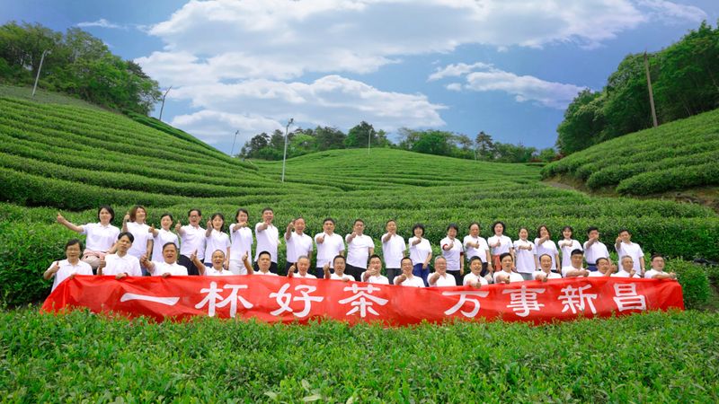 有关于6.16 云祈福:一杯好茶,万事新昌——大茗云集·大佛龙井专场活动(线上)将全面启动的新闻(7)