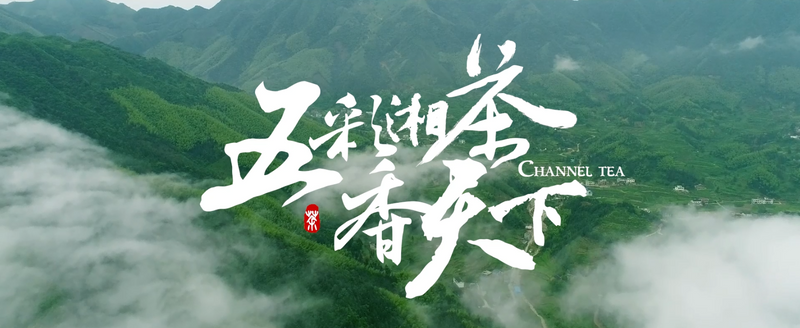 关于聚力打造“湘茶文化高地”，重磅推出“五彩湘茶香天下”的信息(4)