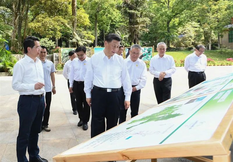 有关于从“金山银山”到“三茶统筹”，湖北如何做好“茶文章”？的相关内容(1)