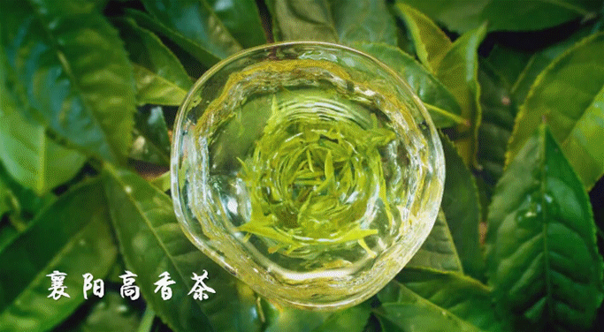 有关于从“金山银山”到“三茶统筹”，湖北如何做好“茶文章”？的相关内容(5)