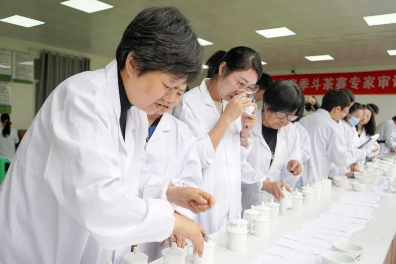 有关于胡继承通报2022年春季斗茶赛比赛情况的相关信息(5)