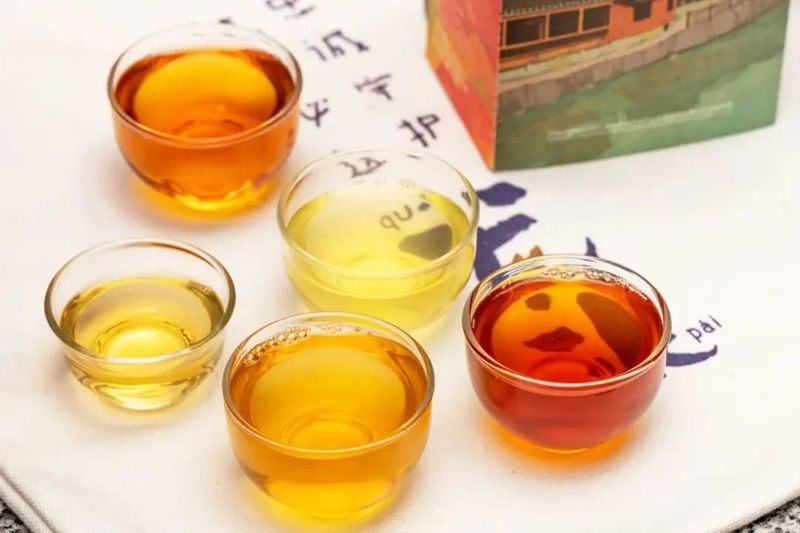 关于流量万千的地方新茶饮，给当地茶产业带来了哪些发展新机遇？的内容(8)