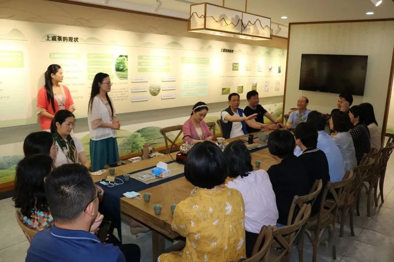 关于上虞区政协领导调研考察全区茶产业、茶品牌、茶文化发展情况的相关内容(6)