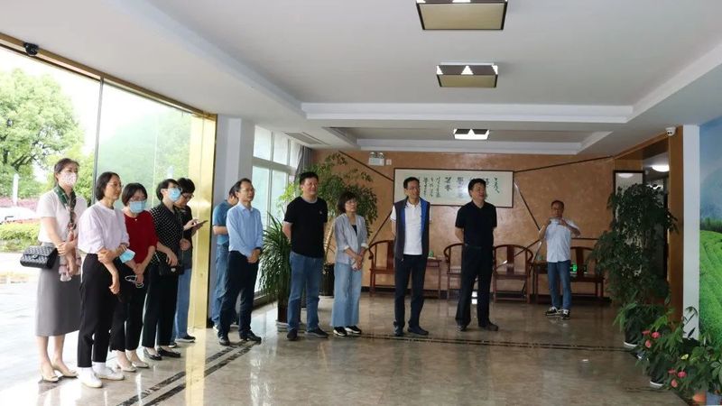 关于上虞区政协领导调研考察全区茶产业、茶品牌、茶文化发展情况的相关内容