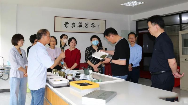 关于上虞区政协领导调研考察全区茶产业、茶品牌、茶文化发展情况的相关内容(3)