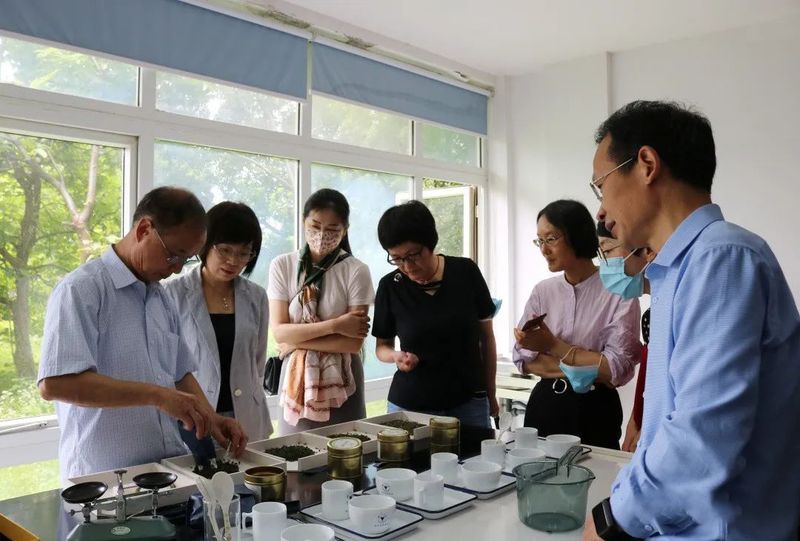 关于上虞区政协领导调研考察全区茶产业、茶品牌、茶文化发展情况的相关内容(2)