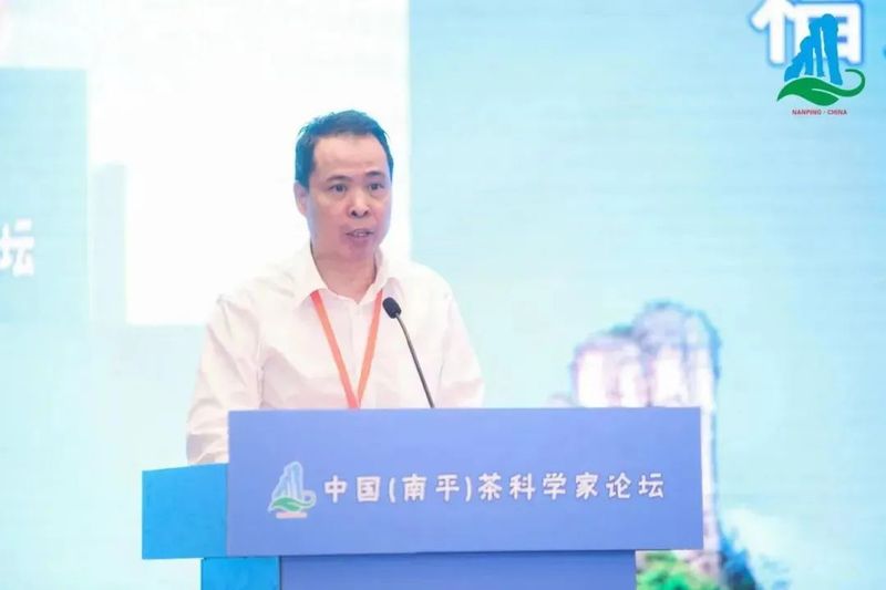 关于武夷山隆重举办中国（南平）茶科学家论坛的新闻(5)