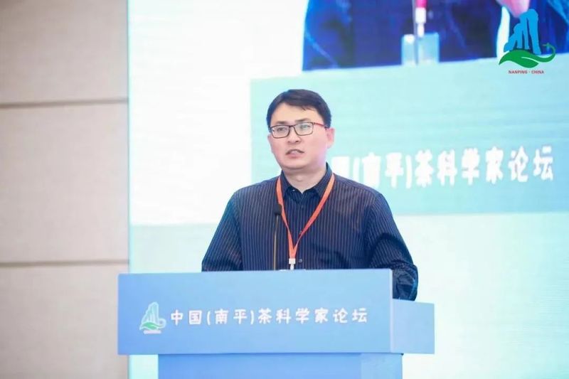 关于武夷山隆重举办中国（南平）茶科学家论坛的新闻(15)