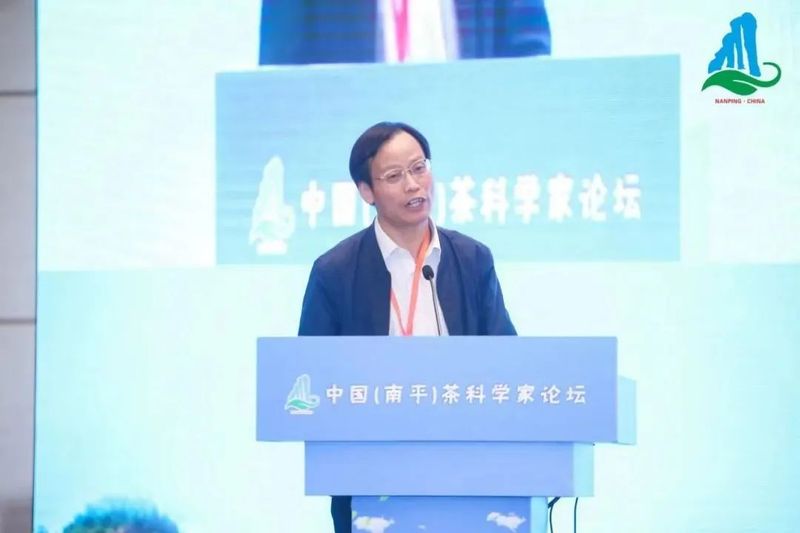 关于武夷山隆重举办中国（南平）茶科学家论坛的新闻(13)