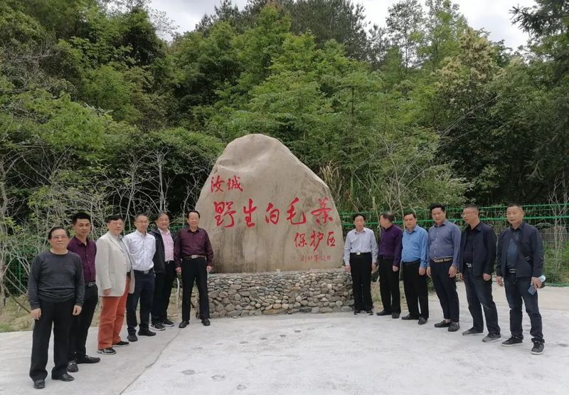 有关于郴州市开展百亿茶产业高质量发展暨2022 年春茶生产情况调研的最新消息(11)