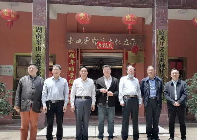 有关于郴州市开展百亿茶产业高质量发展暨2022 年春茶生产情况调研的最新消息(7)