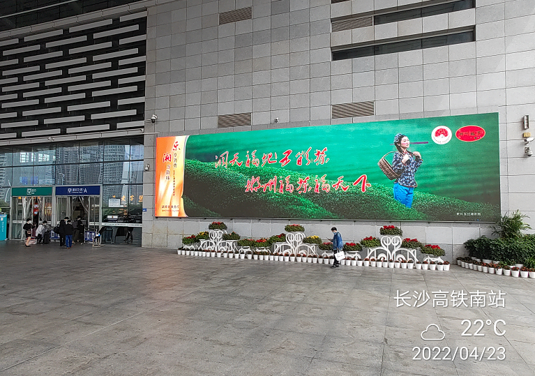 有关于郴州市开展百亿茶产业高质量发展暨2022 年春茶生产情况调研的最新消息(13)