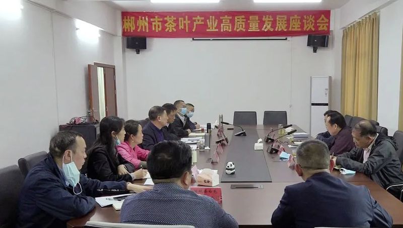有关于郴州市开展百亿茶产业高质量发展暨2022 年春茶生产情况调研的最新消息(5)