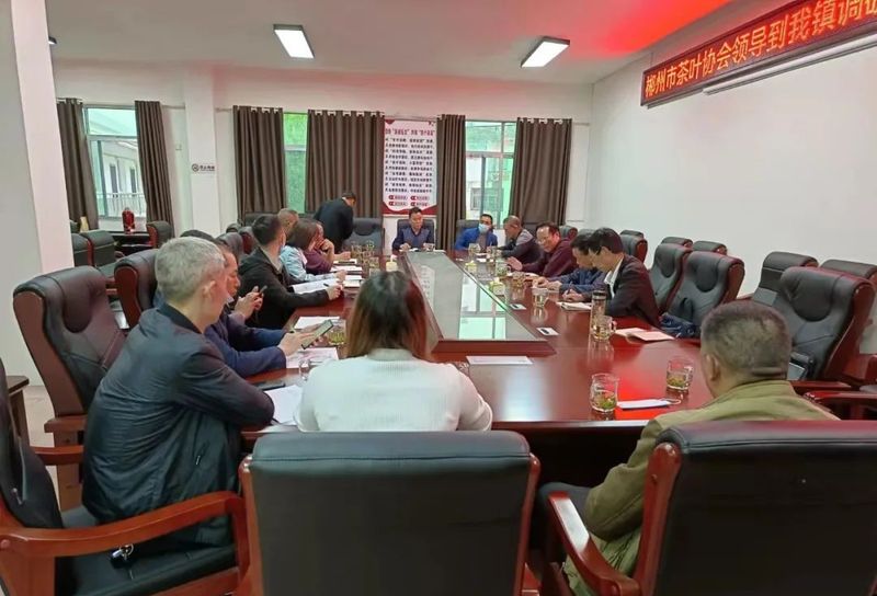 有关于郴州市开展百亿茶产业高质量发展暨2022 年春茶生产情况调研的最新消息(1)