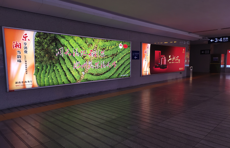 有关于郴州市开展百亿茶产业高质量发展暨2022 年春茶生产情况调研的最新消息(12)