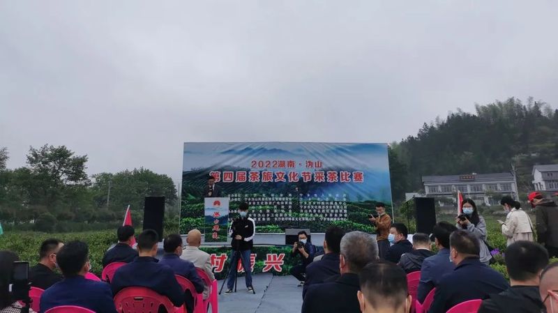 有关于2022湖南·沩山第四届茶旅文化节采茶比赛开幕的消息