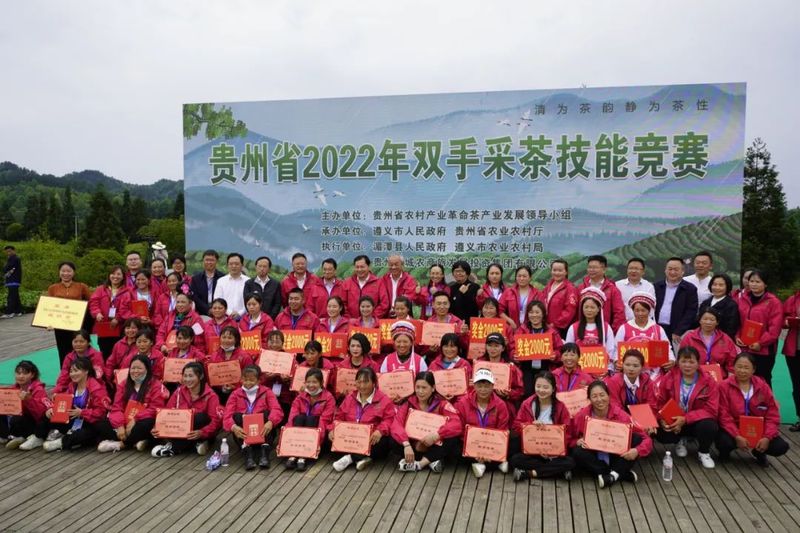 关于“金手指”诞生！2022年贵州省双手采茶技能竞赛决赛在湄潭县举行的内容(14)
