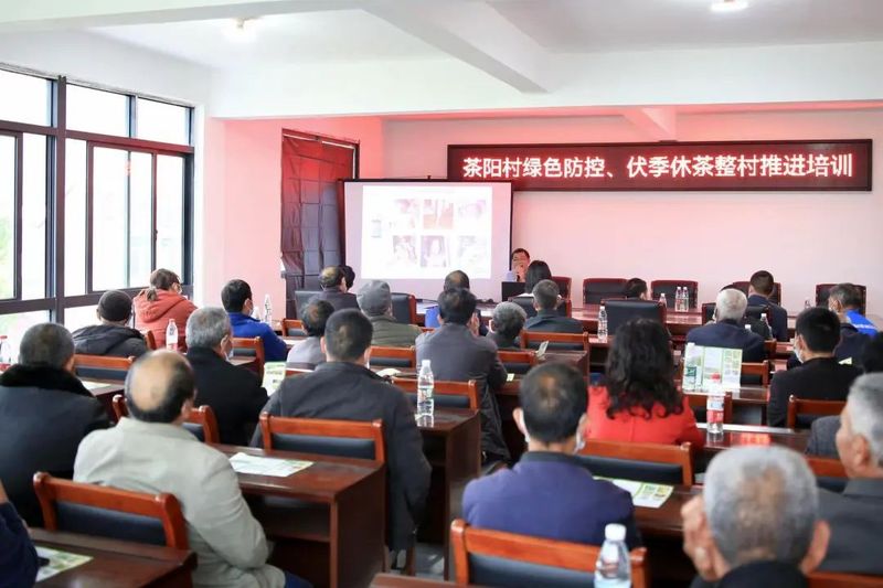 有关于专家授“茶经” 茶农忙“充电”的消息