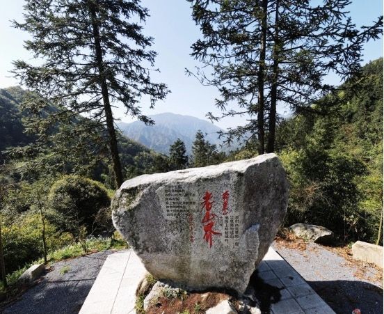 有关于创新茶旅融合发展，第三届舜皇山野茶节即将开幕的新闻(1)