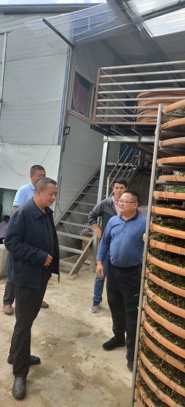 有关于王迎斌率队实地调研茶产业发展的信息(3)